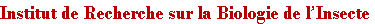 wp1e6698ff.png