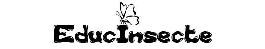 wp86f4ac60.png